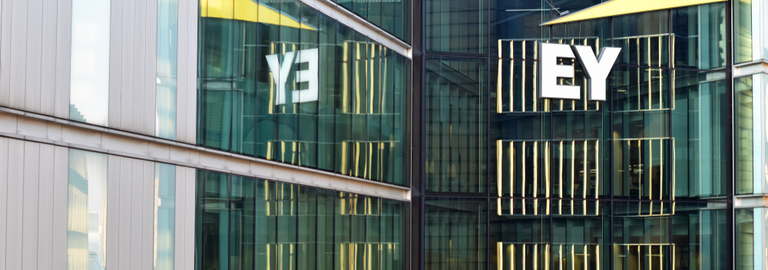 EY UK chief economist: Budget lacks detail